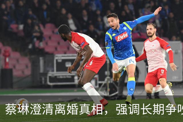 蔡琳澄清离婚真相，强调长期争吵才是关键因素